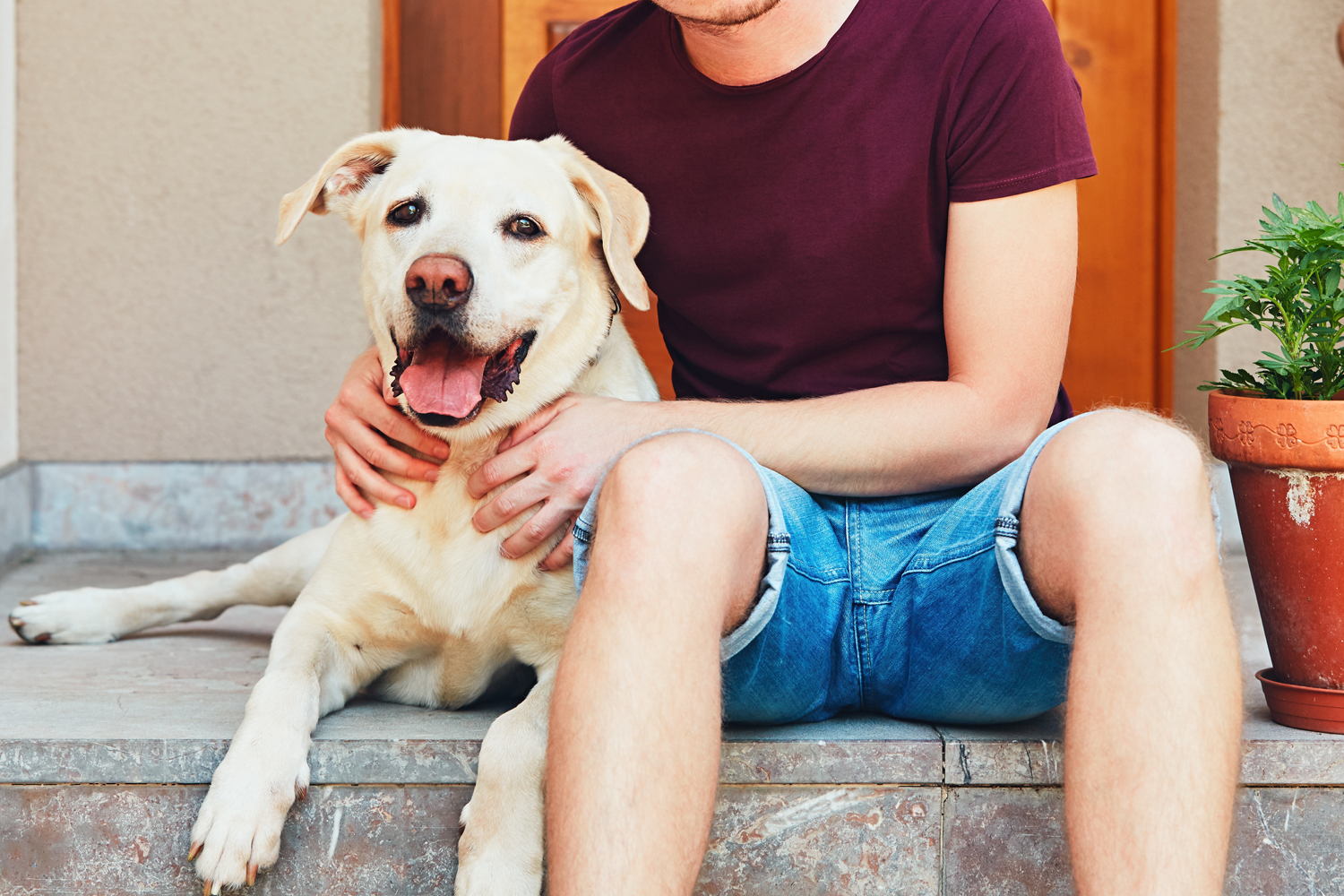 Back to School, Back to Routine: Helping Your Pet Adjust This August in Tampa