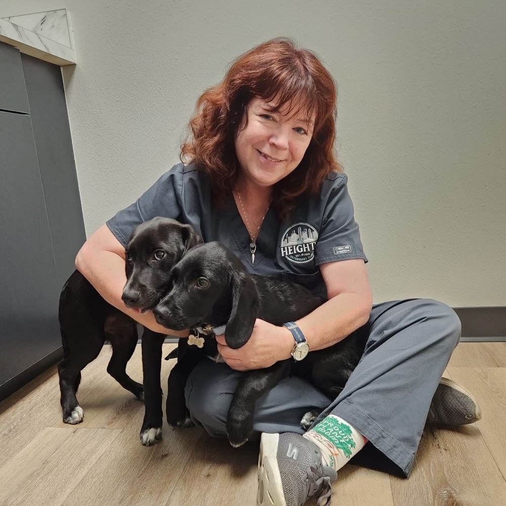 Erika - Certified Veterinary Technician Erika - Certified Veterinary Technician