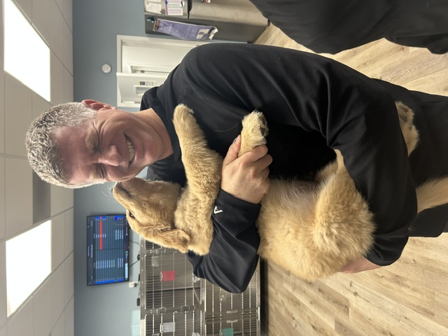 Doctor holding a puppy