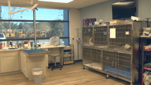Treatment Room