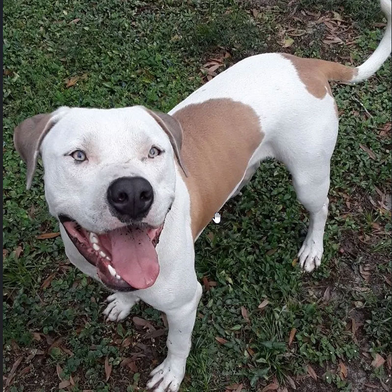 Sabrina - Veterinary Technician
